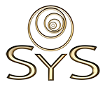 Logo consultoria sistemica